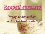 Jó reggelt kívánunk. Ma is itt vagyunk 8-16-ig!…