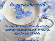 Jó reggelt kívánunk! Ne feledjék, ma 8-16 óráig vagyunk nyitva!…