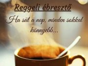 Jó reggelt mindenkinek! Ma is 8-16 óráig vagyunk nyitva!…