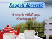 Kellemes vasárnapot kívánunk mindenkinek! Ne feledjék, hogy hétfőn a könyvtár 8-…