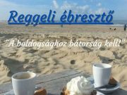 Mindenki felébredt? Ha igen, akkor 8-16 óráig nyitva vagyunk! Sok új könyv érkez…