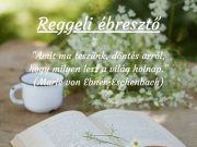 Szép reggelt kívánunk! Könyvtárunk ma is 8-16 óráig várja Önöket….