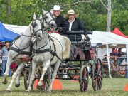 12. Dr. Polner Tibor Fogathajtó Emlékverseny…
