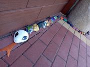 Itt a mi tábori kőkígyónk!…