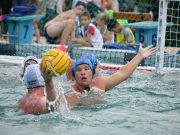 A Miskolccal készülünk közösen Két hét múlva az OSC ellen kezdjük meg a bajnoks…