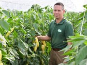 A növényorvos, aki nemcsak a paprikát, az orvosi krimiket is kedveli…