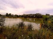 Gerecz-tavi körkép…