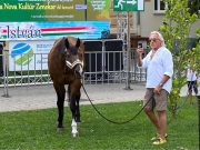 Kedves Szentesiek!…