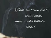 Kellemes, szép reggelt kívánunk! Könyvtárunk 8-16 óráig várja Önöket!…