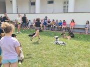 Köszönjük szépen a Wikfild K9 kutya és szabadidősport egyesületnek, hogy eljött…