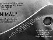 MINIMÁL szabadtéri fotókiállítás…