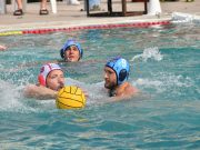 Meccsképek a Vasas elleni kupamérkőzésünkről. 16 órától a Szolnok ellen folyta…