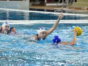 Szentesen kamatoztathatja nemzetközi tapasztalatait…