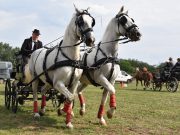 Szeptemberben pótolják az elmaradt gyermek lovas ügyességi versenyt…