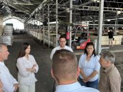 Heti 5-6 tonna afrikai harcsát dolgoznak fel a Geofish Kft.-nél – A legfontosabb…