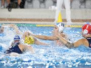 Női csapatunk itthon játszik…