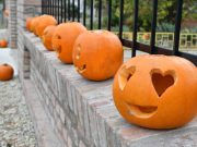 Tökéletesre sikerült Töknap a Mátéffy oviban…