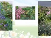 20. Virágszínvonalasabb Szentesért környezetszépítő verseny nevezettjei…