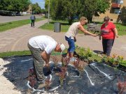 Fák és virágok vonzásában…