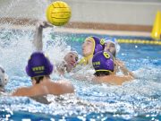 Képek a Metalcom Szentes UVSE bajnokiról. #hajráSzentes Vidovics Ferenc…