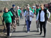 Őrizzük és becsüljük a gyümölcsfákat!…