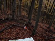 Szentesi siker tájékozódási túrasportban…