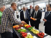 A DélKerTÉSZ megtalálta a megoldást…