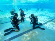 Ezen a héten honvéd kadétok táboroznak alakulatunknál, ahol a búvárkodás alapjai…