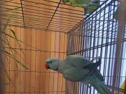 Ma is szeretettel várunk mindenkit a Művelődési és Ifjùsági Házban 18 òráig a Dí…