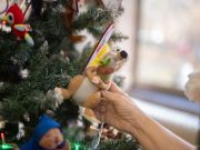 Vándorló Szeretet Szentesen…