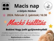 Mackó kiállítás a Gólyás házban…