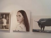 Unja már a szürke téli estéket?…