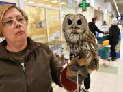 Zsetonos akcióban szavazz a Szentesi Természet- és Vadvédelmi Mentőközpont Alapí…