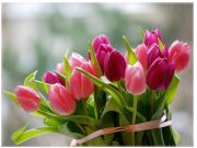 Kedves Szentesi Hölgyek!…