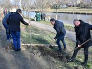 Újabb 11 fával bővült Szentes faállománya…