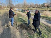 „Ültessünk közösen 1000 fát Szentesen!”…