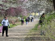 Szépítsük meg Szentest!…