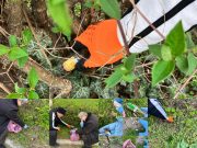 Nekünk is fontos, hogy a környezetünk tiszta és rendezett legyen, ezért összegyű…