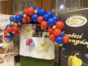 A Szentesi Kinizsi SZITE második jótékonysági bálja…