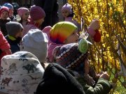 Három éves hagyományra tekint már vissza a tojásfa díszítés a Kossuth téren. Mi…