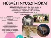 Húsvéti nyuszi móka a Vadvédelmi Mentőközpontban!…