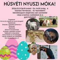 Lehet, hogy egy kép erről: , szöveg, amely így szól: „HÚSVÉTI NYUSZI MÓKA! 2024.03.31 De:10 órától- Du: 14:00 óráig Szentesi Természet, és Vadvédelmi Mentőközpont Alapítvány sok szeretettel várja a kedves családokat és gyermekeiket! A Programok: Hív és vár bárány nyuszi simogató! Tojáskeresés. Érkeznek gyerekek kedvencei a pónilovak! Tojásfestés Mond la locsolóversed Arcfestés gyerekek örömére! Találkozás kiskacsákkal Közös fotózás az ara papagájjal Várunk mindenkit sok szeretettel!! Cím: Szentes Bocskai 9.”