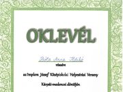 II. helyezés a Kárpát-medencei döntőn…