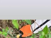 Nekünk is fontos, hogy a környezetünk tiszta és rendezett legyen, ezért összegyű…