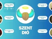 Rendkívüli adás a sulis közösségi életről, az érettségiről és edzésről / Szent dió 3. adás