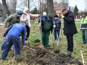 Száz fával bővült a Hősök erdeje…