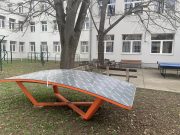 Tavasz a Pollák sport-udvarán…