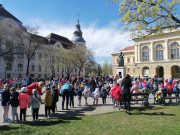 Tojásfadíszítés a Kossuth téren :)…