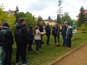 A Föld napját 1970 óta ünnepeljük április 22- én. Ebből az alkalomból az Erzsébe…