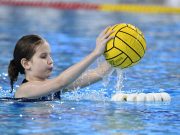 A Tatabánya elleni győzelmünk képekben. #szépvoltlányok Vidovics Ferenc…